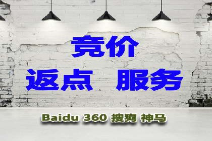 SEM推广案例：精准定位目标客户群体